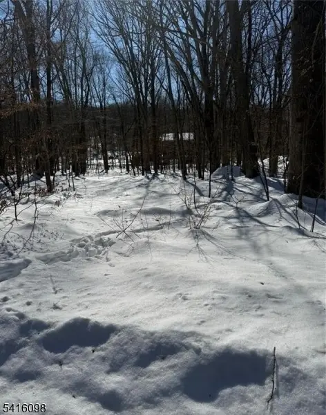 15 Saw Mill Rd, Kinnelon Boro, NJ 07405