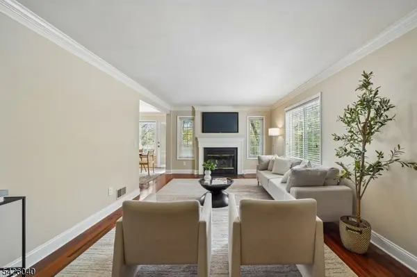 217 Terrace Dr, Chatham Twp., NJ 07928