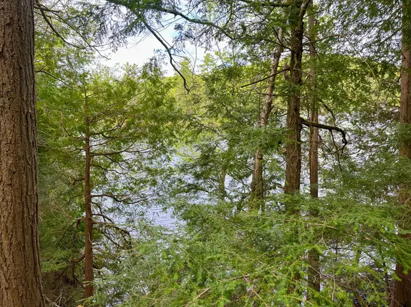 0 Granite Terrace LN, Frontenac, ON K0K 2J0