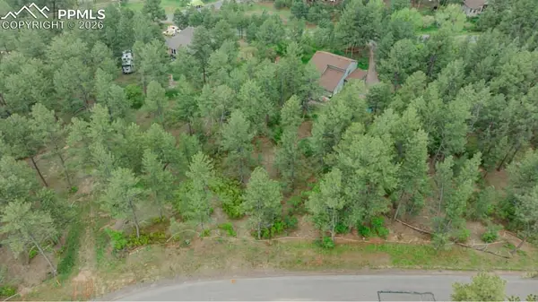 648 Copper Fox PL, Larkspur, CO 80118