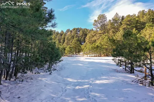 16490 Mesquite RD, Peyton, CO 80831