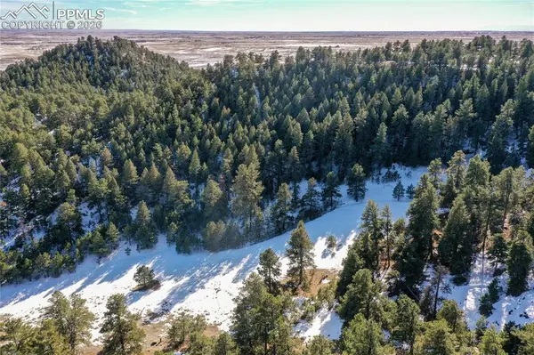 16490 Mesquite RD, Peyton, CO 80831