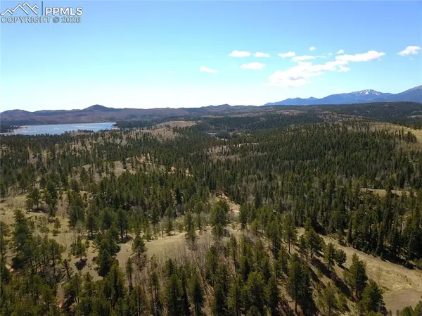 Schubarth TRL, Woodland Park, CO 80863