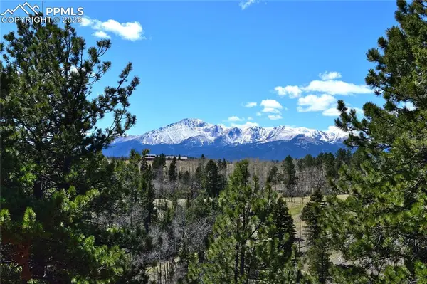 Schubarth TRL, Woodland Park, CO 80863