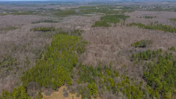 Lot 53/54 West Back Line, Chatsworth, ON N0C 1H0