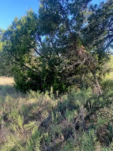 6840 CR 327, Blanket, TX 76432