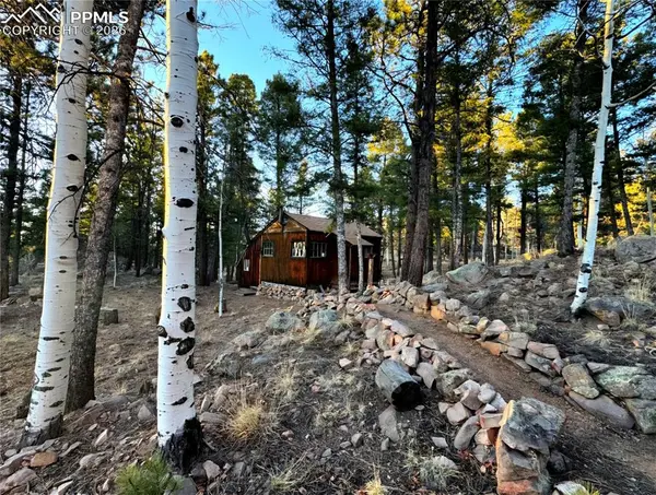 2063 Vagabond Creek DR, Lake George, CO 80827