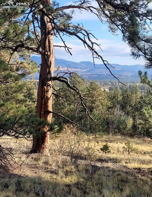 2502 CR-88, Guffey, CO 80820