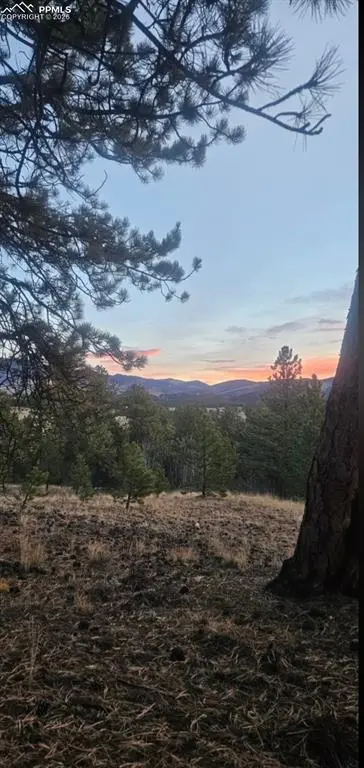 2502 CR-88, Guffey, CO 80820