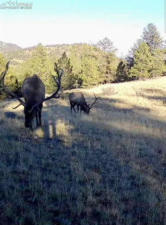 2502 CR-88, Guffey, CO 80820