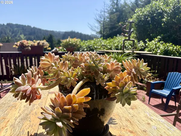 19921 WHALESHEAD RD #OV9, Brookings, OR 97415