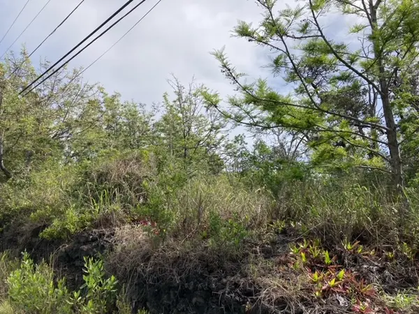 KING KAMEHAMEHA BLVD, Ocean View, HI 96737