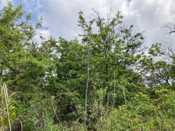 KING KAMEHAMEHA BLVD, Ocean View, HI 96737