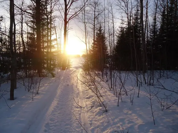 Lot 14 Con 1 Blount N/A, Cochrane, ON P0L 1C0