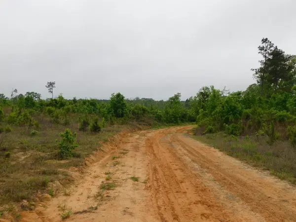 0 Mulberry Ridge Road, Shongaloo, LA 71072