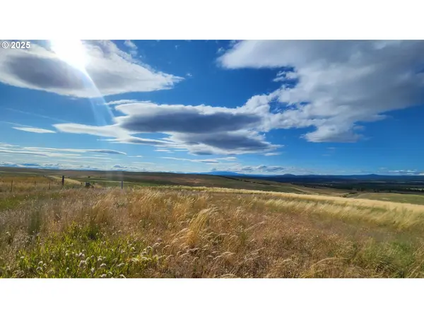 NKA Shull Ranch Rd, Centerville, WA 98613