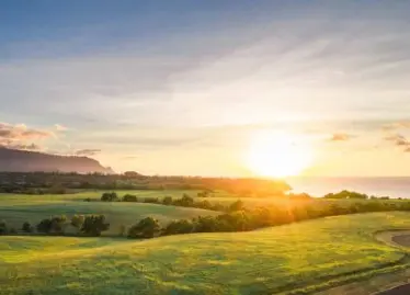 ANINI RD #Lot 57,  Kilauea,  HI 96754