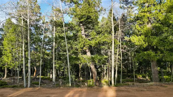 68 Yale PL, Woodland Park, CO 80863