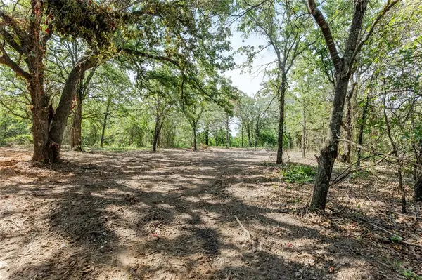 1060 Scott Road, Weatherford, TX 76088