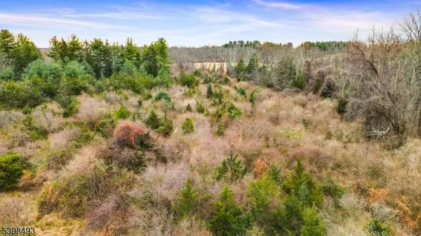 11 Springtown Rd, Readington Twp., NJ 08822