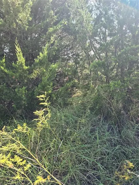 3694 County Road 1103, Celeste, TX 75423