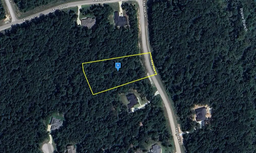 265 Sky Oak Lane, Huntsville, TX 77340