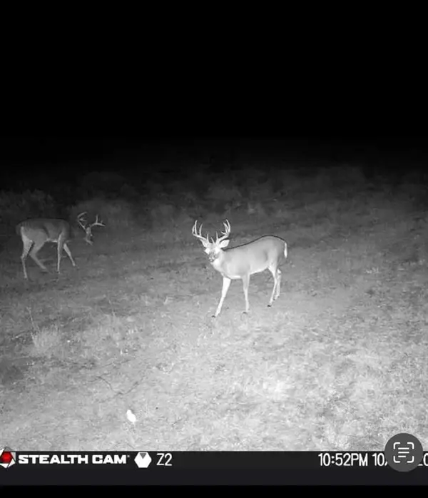 TBD County Road 225, Rising Star, TX 76471