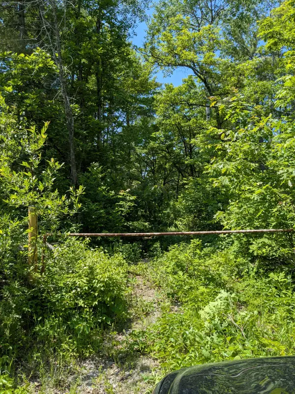 559 HONEY HARBOUR RD, Georgian Bay, ON L0K 1S0