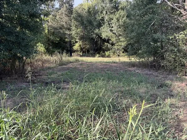 000 CR 2362, Bagwell, TX 75412