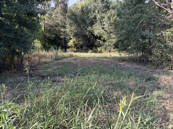 000 CR 2362, Bagwell, TX 75412