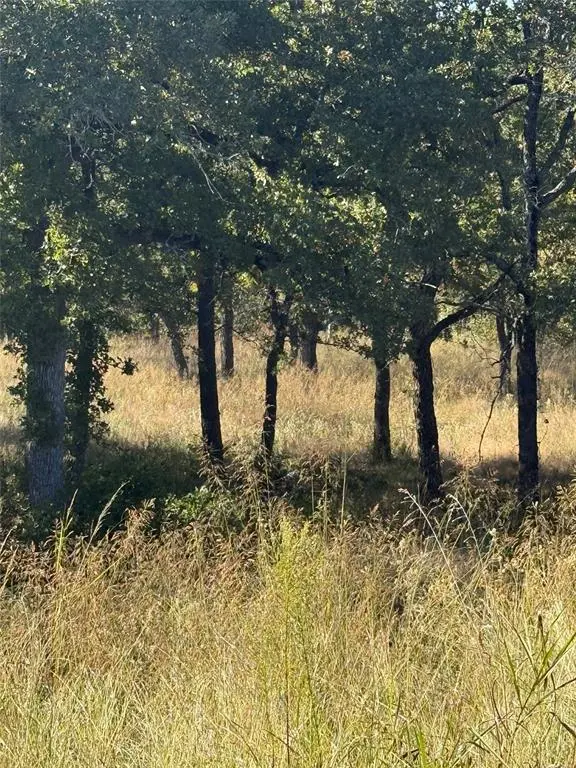 416 Sunset Bay Pointe Court, Chico, TX 76431