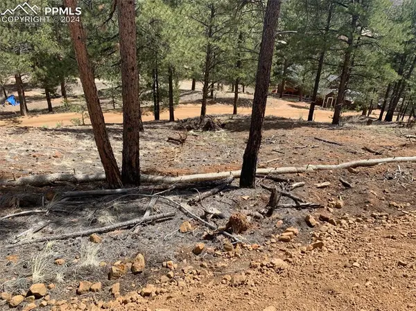 15421 Westcreek RD, Woodland Park, CO 80863