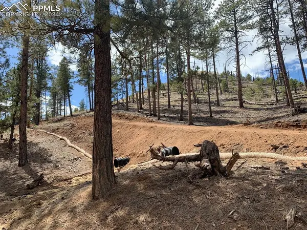 15421 Westcreek RD, Woodland Park, CO 80863