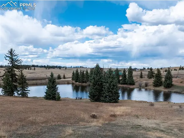 19 Worley RD, Divide, CO 80814