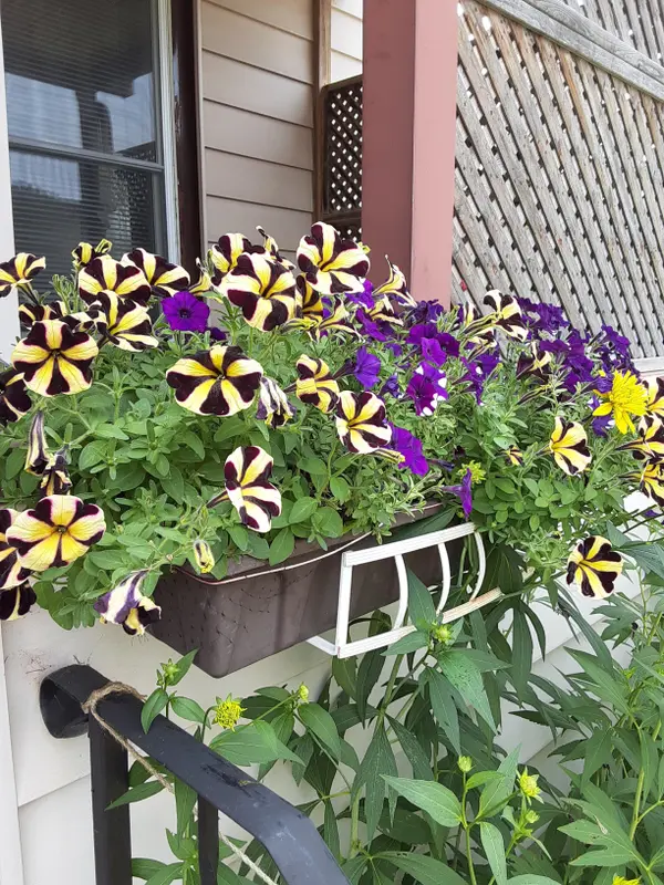 292 William ST N, Gananoque, ON K7G 1S5