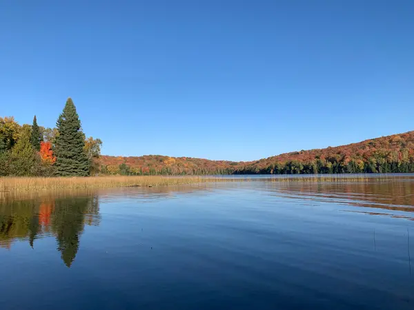 294 Albion Lake DR, Faraday, ON K0L 1C0