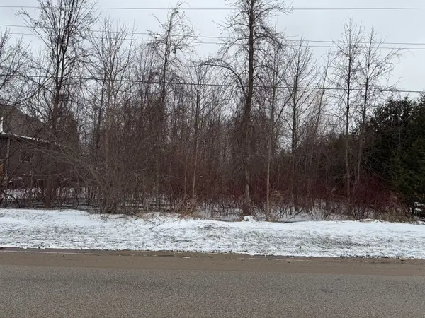 51 Saunders ST, Collingwood, ON L9Y 0G5