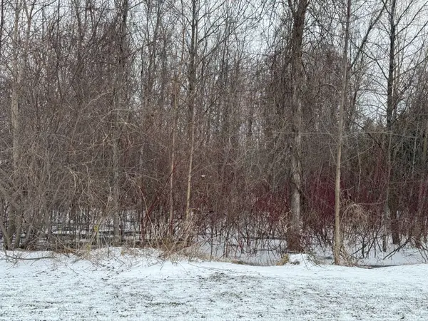 51 Saunders ST, Collingwood, ON L9Y 0G5