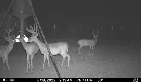 TBD1 US Highway 183 Highway S, Goldthwaite, TX 76844