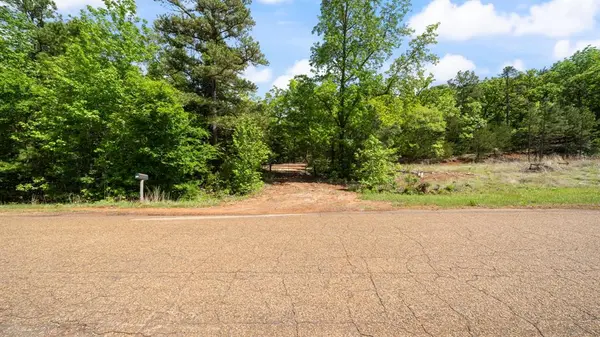 TBD County Road 4915, Ben Wheeler, TX 75754