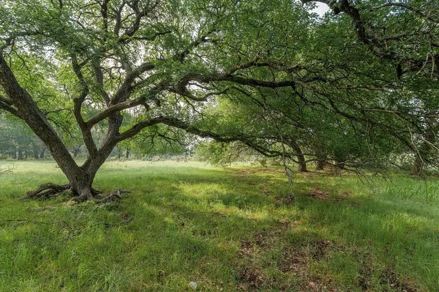 254 Guadalupe Drive, Oglesby, TX 76561