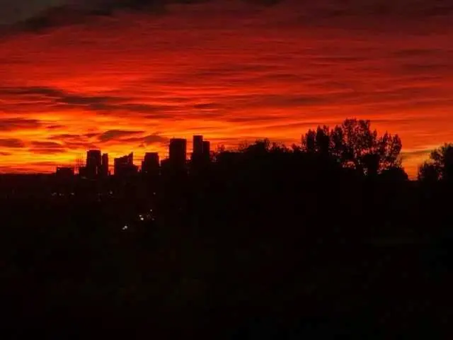 520 Cedar CRES SW #202, Calgary, AB T3C 2Y8