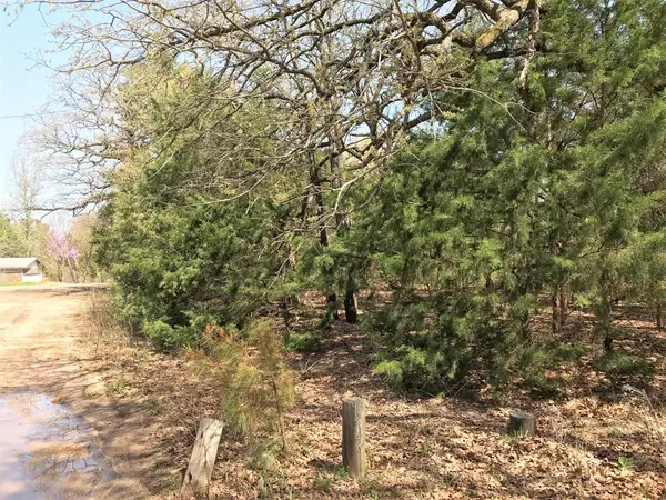 22315 Walnut Lane, Mineola, TX 75773