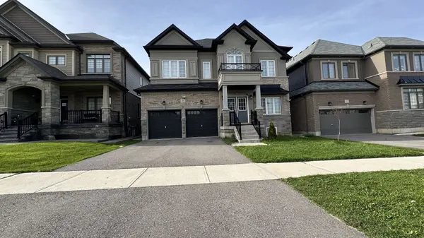 4 Flagg AVE #Basement, Brant, ON N3L 0K2