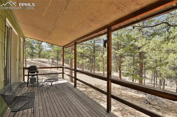 80 Crystal LN, Lake George, CO 80827