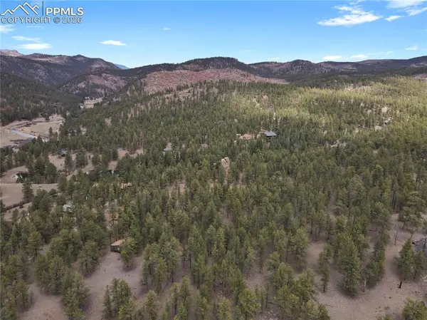 88 Crystal LN, Lake George, CO 80827