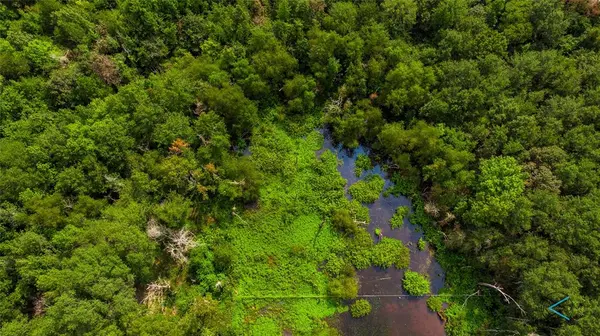 TBD CR 3606, Brownsboro, TX 75756