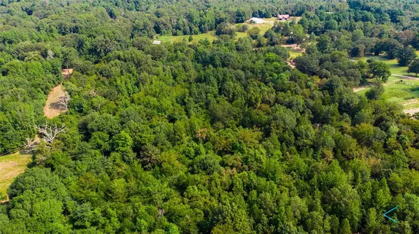 TBD CR 3606, Brownsboro, TX 75756