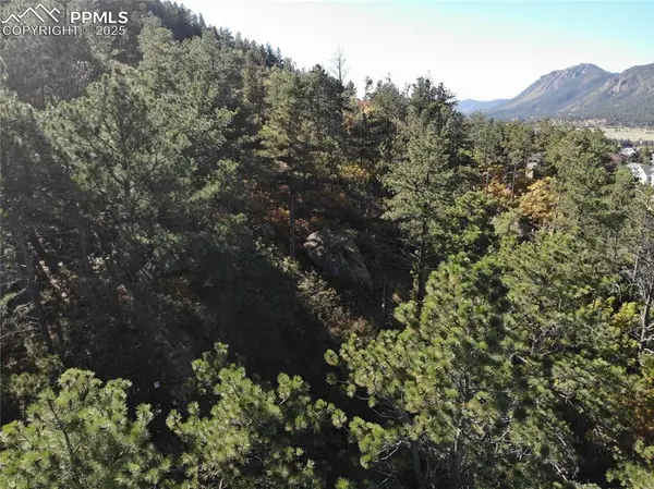 Oakdale TER, Palmer Lake, CO 80133