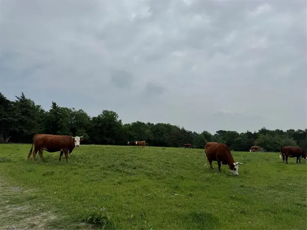 6910 County Road 1218, Mckinney, TX 75071